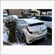 予報通りに雪