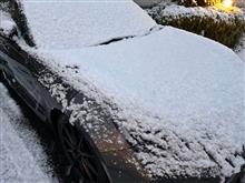 積雪2cm