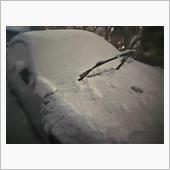 雪ですなー