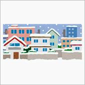 雪が降ってきた