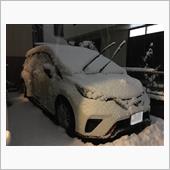 関東でも積雪