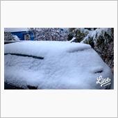 ２月の雪