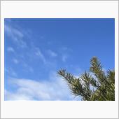 取り敢えず晴れ☀️