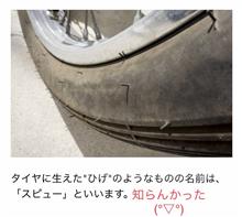 スピュー(ΦωΦ)