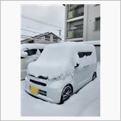 ニュータント！デビュー✨