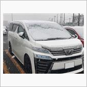 雪が降ってきたよ