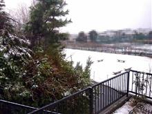 首都圏の大雪(*_*;