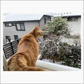 ちょい　ちょいっとね！　貯金 ...