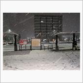 降雪