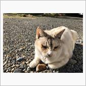 今日もいいお天気