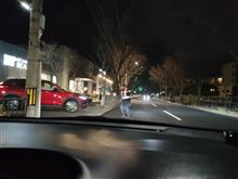高級住宅街にある高級スーパーに型落ちの国産セダン🚗で行って来ました😁🛒