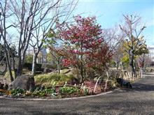 『西大寺緑花公園』岡山市東区西大寺