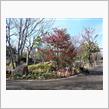 『西大寺緑花公園』岡山市東区西大寺