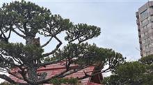 寒天と観音様。 寒天と観音様。