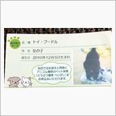 うちのワンコの名刺♪