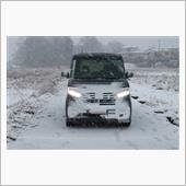 貴重な雪景色