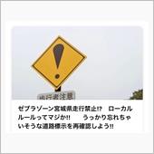 ゼブラゾーン(ΦωΦ)