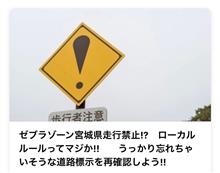 ゼブラゾーン(ΦωΦ)