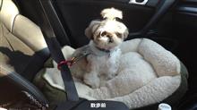 散歩 散歩