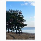 朝に歩く
