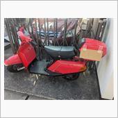 ベルーガ君　売車😆