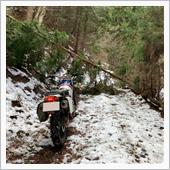 雪の残る林道で遊んできました