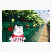 春にはちょっと寒いな