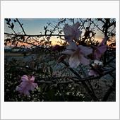 夕闇早く