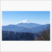 富士山を観に三頭山に登ってみた
