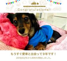 愛犬と出会って9年！