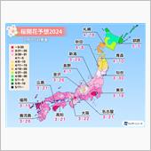 春が来た桜は何時？
