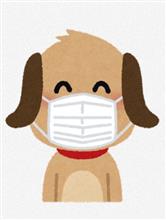 風邪引きです！