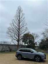 曇天のルーティーン 曇天のルーティーン