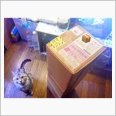 📦ノビリス到着しました📦