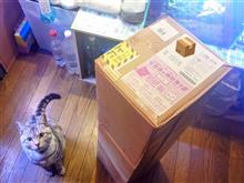 📦ノビリス到着しました📦