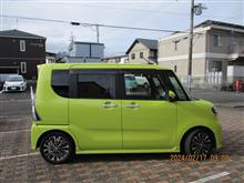 タントでドライブ 河津桜と下田でランチ タントでドライブ 河津桜と下田でランチ