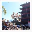 蓮華院誕生寺奥之院クラシックカーフェスティバル2024
