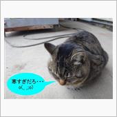 そらまあ寒いわな・・・　(￣ ...