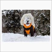岐阜で雪遊び　～まったり雪遊 ...