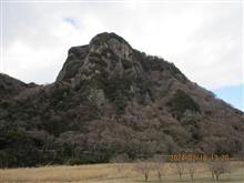 川の駅 伊豆城山 桜 