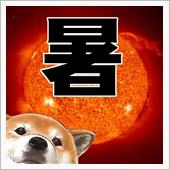 今日は暖かかったですね。