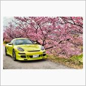 桜スタート、ケイマンＲで鋸南 ...