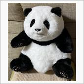 西柚熊猫🐼