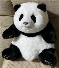 西柚熊猫🐼