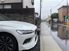 Rain song