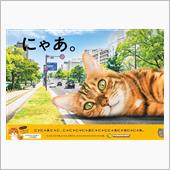 222猫の日(ΦωΦ)