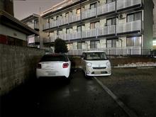 伸びたり縮んだり 伸びたり縮んだり