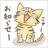 お知らせ💬