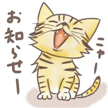 お知らせ💬