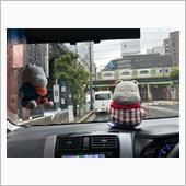 またまた雨の休日